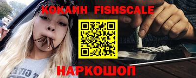 a pvp Камышлов