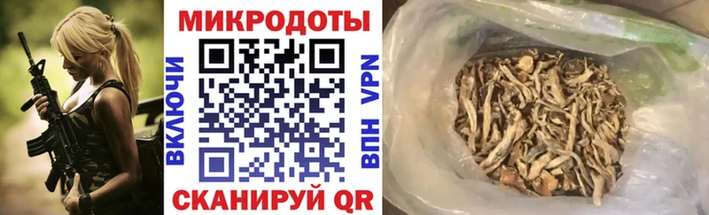 Галлюциногенные грибы прущие грибы Камень-на-Оби