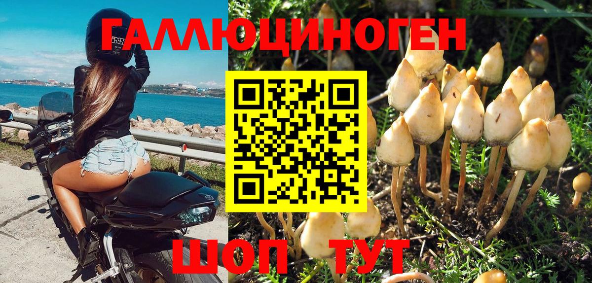 Псилоцибиновые грибы Magic Shrooms Камень-на-Оби